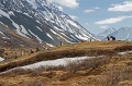 IMG_37720