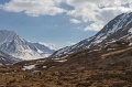 IMG_37724