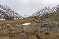 IMG_41181