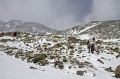 IMG_41187