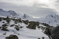 IMG_41486