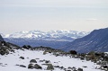 IMG_41519