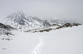 IMG_41539