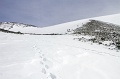 IMG_41567