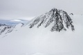 IMG_41585