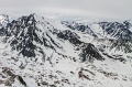 IMG_41598