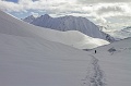IMG_41644