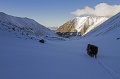 IMG_41650