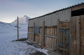 IMG_41657