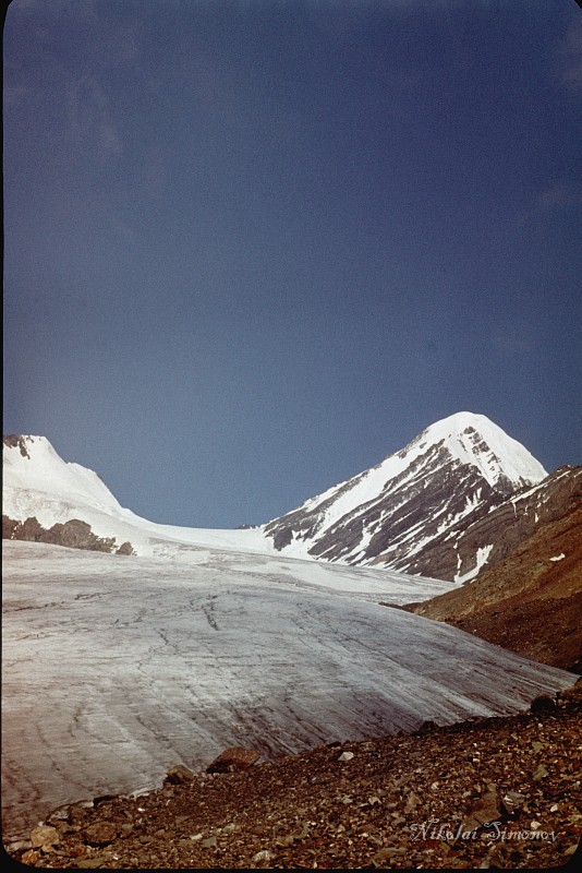 005.jpg -   ,  