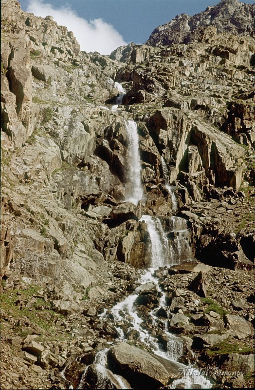 009.jpg -   ,   