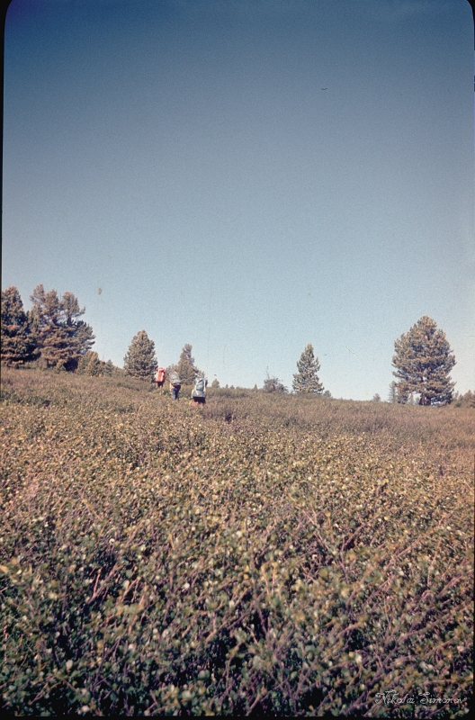 Altay85-009.jpg - ߣ      