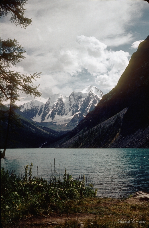 Altay85-022.jpg -  .    