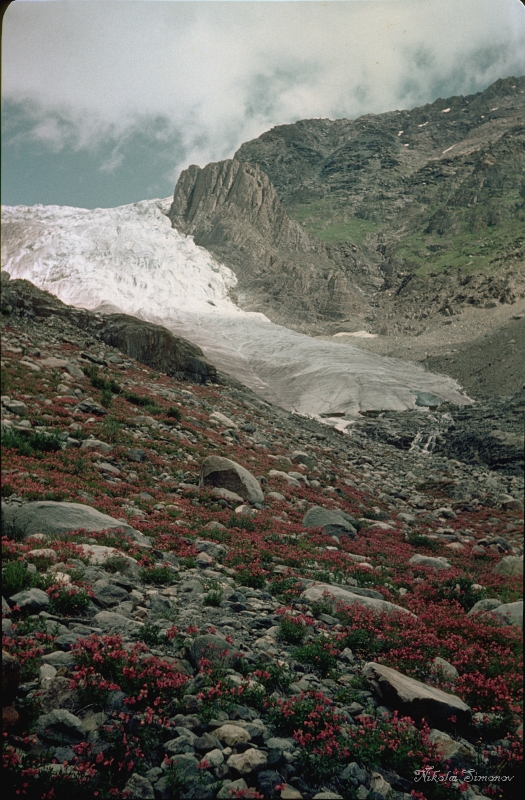 Altay85-051.jpg - ,    