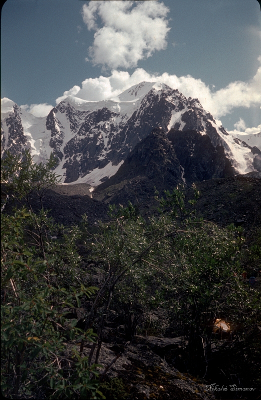 Altay85-077.jpg -   (     )