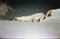 Altay85-047