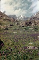 Altay85-060