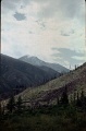Altay85-098