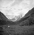 Altay90_02_08