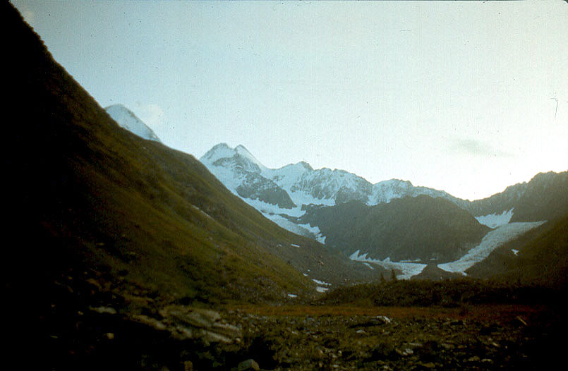 beluha3