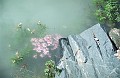 7-16
