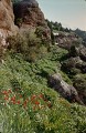 Gissar89-4-04