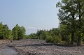 IMG_20316