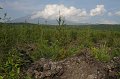 IMG_20330