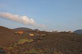 IMG_20350
