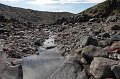 IMG_21250