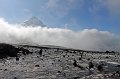 IMG_21311