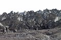 IMG_21489