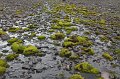 IMG_21516
