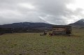 IMG_21527