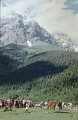 Kavkaz89-1-05r