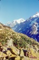 Kavkaz89-2-20r