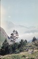 Kavkaz89-4-10r
