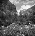Kavkaz89_08_08