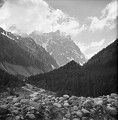 Kavkaz89_08_11