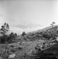 Kavkaz89_13_06