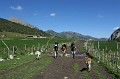 IMG_0508