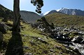 IMG_0539