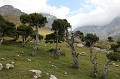 IMG_0573