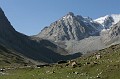 IMG_0583