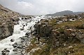IMG_0602
