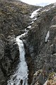 IMG_0631