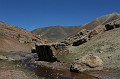 IMG_0881