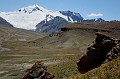 IMG_0890