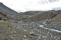 IMG_0995sh