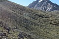IMG_1278